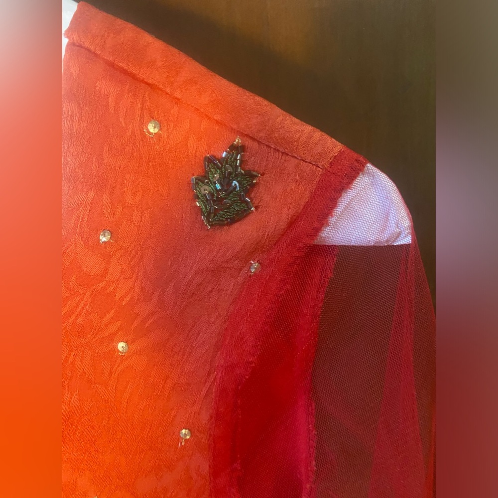 Tunic from India - Beaded Silk - Picture 9 of 9